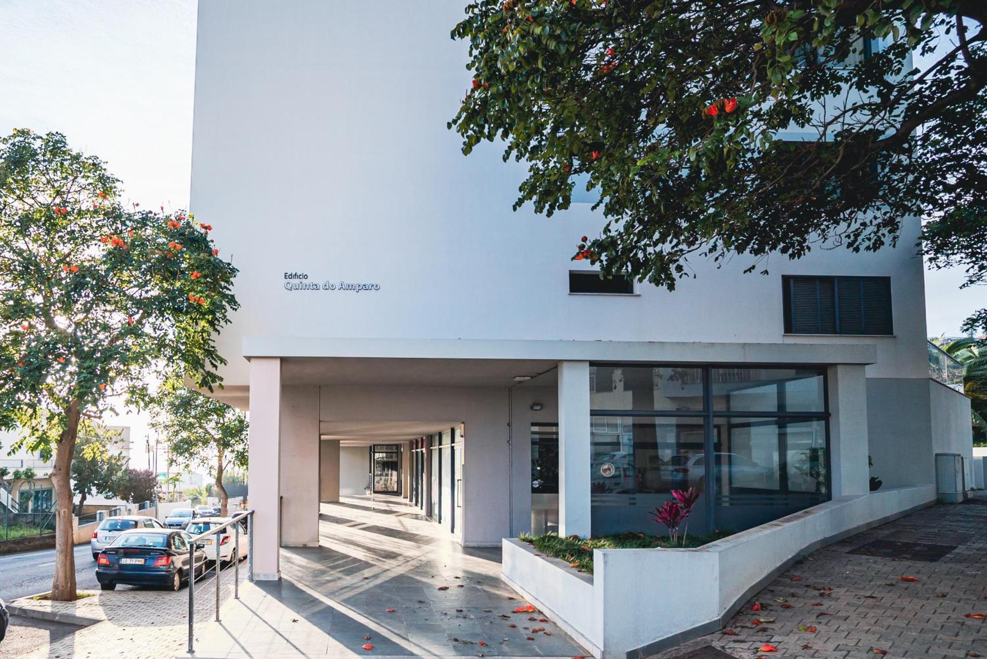 Madeira Luxury Amparo Apartment Funchal  Exteriér fotografie